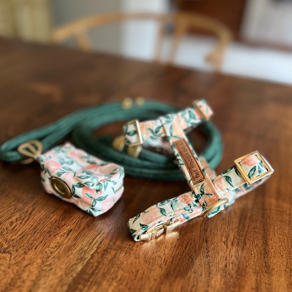 Foggy Dog Harness Set